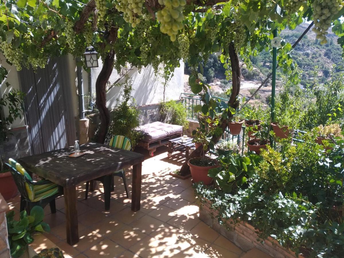 Villa Casa Maribel Guejar Sierra Exterior foto